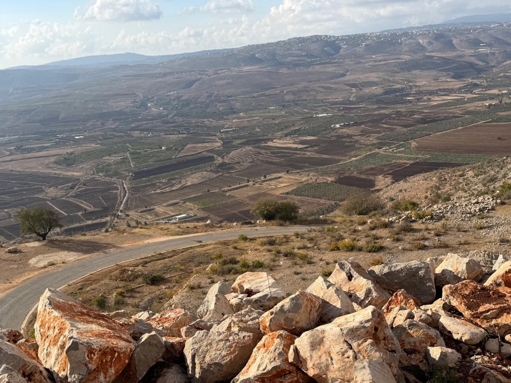 Border line view